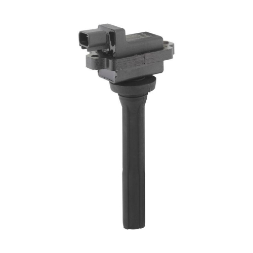 BorgWarner (BERU) Z&uuml;ndspule ZS615