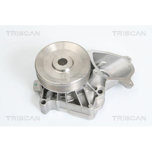 TRISCAN Wasserpumpe, Motork&uuml;hlung 8600 17010