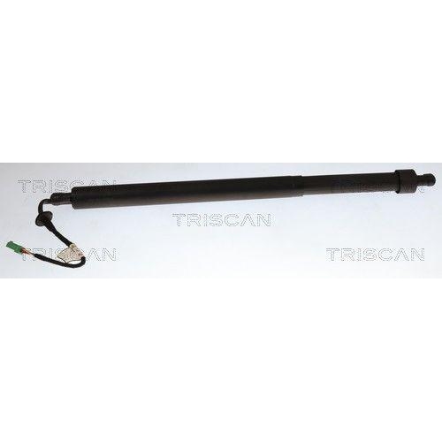 TRISCAN Gasfeder, Koffer-/Laderaum 8710 28310