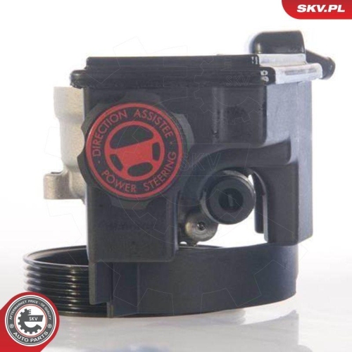 ESEN SKV Hydraulikpumpe, Lenkung 10SKV171