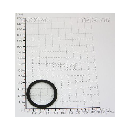 TRISCAN Dichtung 8813 9977