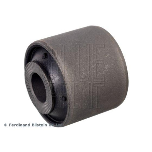 BLUE PRINT Lagerung, Lenker