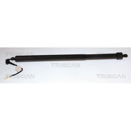 TRISCAN Gasfeder, Koffer-/Laderaum 8710 28311