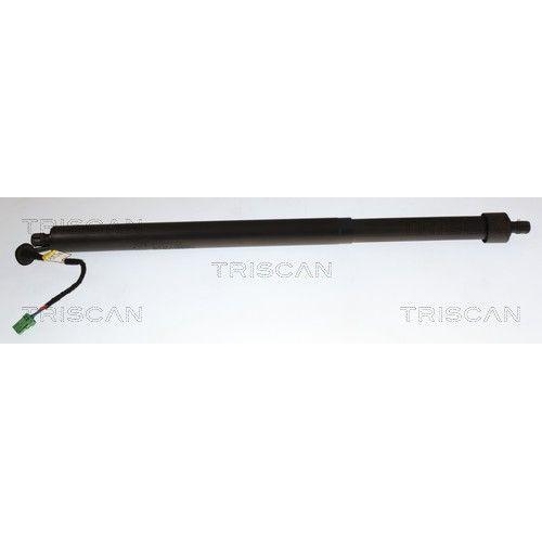 TRISCAN Gasfeder, Koffer-/Laderaum 8710 28312