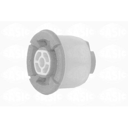 SASIC Lagerung, Achskörper