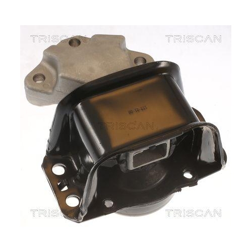 TRISCAN Lagerung, Motor 8505 28100