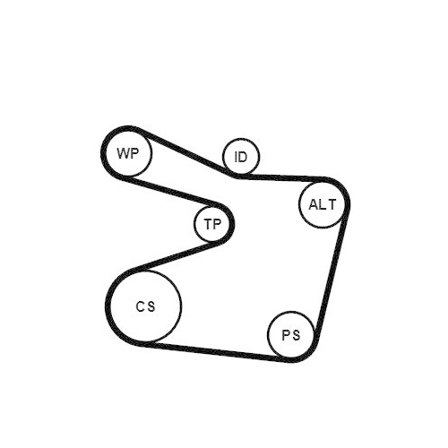 CONTINENTAL CTAM Wasserpumpe + Keilrippenriemensatz 6PK1555WP1