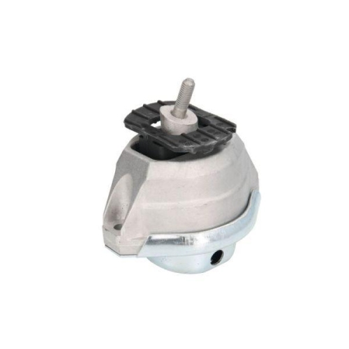 REINHOCH Lagerung, Motor RH11-3031