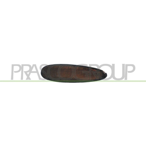 PRASCO Blinkleuchte TYC FT1484039