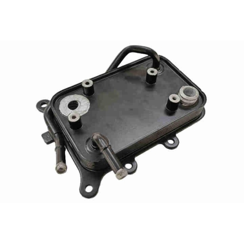 ACKOJA Ölkühler, Automatikgetriebe Original ACKOJA Qualität