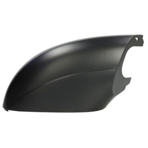 BLIC Abdeckung, Außenspiegel 5402-04-1623319P
