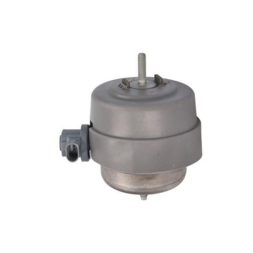 REINHOCH Lagerung, Motor RH11-0159