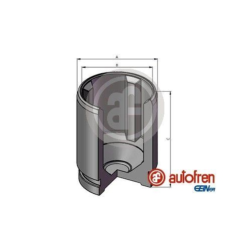 AUTOFREN SEINSA Kolben, Bremssattel D025719