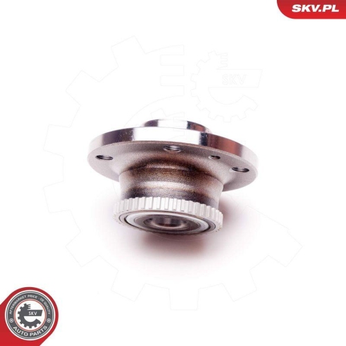 ESEN SKV Radlagersatz 29SKV160