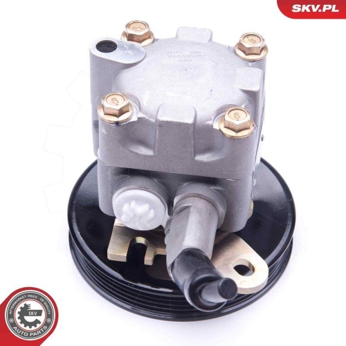 ESEN SKV Hydraulikpumpe, Lenkung 10SKV276
