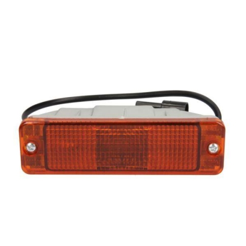 TRUCKLIGHT Blinkleuchte CL-MA007
