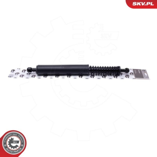 ESEN SKV Elektromotor, Heckklappe 52SKV949