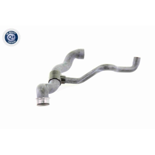 VAICO Kühlerschlauch Q+, Erstausrüsterqualität V30-1660