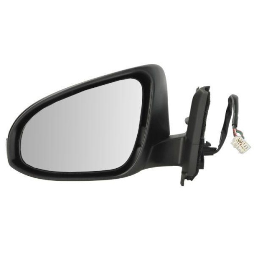 BLIC Außenspiegel 5402-19-1491318P