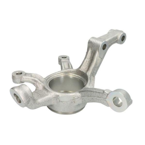 REINHOCH Achsschenkel, Radaufhängung RH08-3014