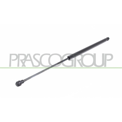 PRASCO Gasfeder, Koffer-/Laderaum FT1139015