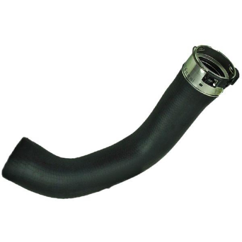 BUGIAD Ladeluftschlauch 81981
