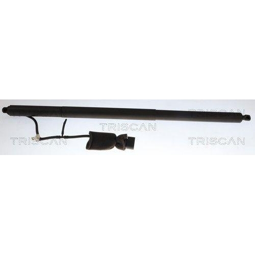 TRISCAN Gasfeder, Koffer-/Laderaum 8710 29346
