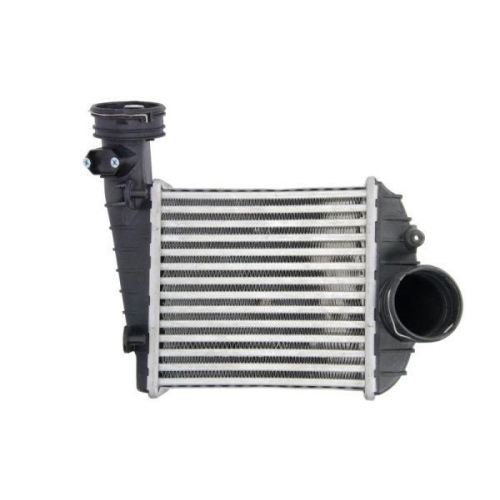 THERMOTEC Ladeluftk&uuml;hler DAW013TT