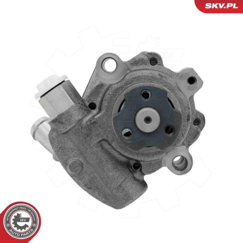 ESEN SKV Hydraulikpumpe, Lenkung 10SKV325