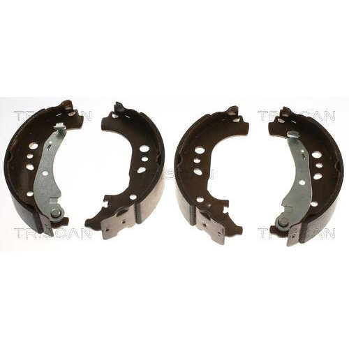 TRISCAN Bremsbackensatz 8100 29005
