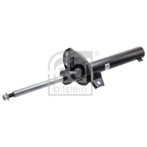 FEBI BILSTEIN Sto&szlig;d&auml;mpfer 1002284