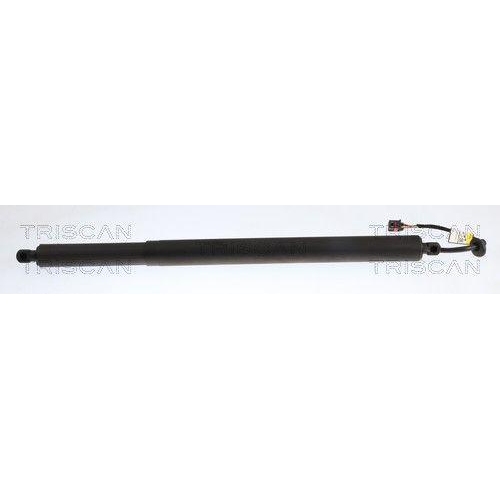 TRISCAN Gasfeder, Koffer-/Laderaum 8710 29349