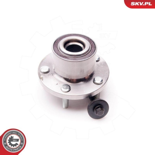 ESEN SKV Radlagersatz 29SKV165