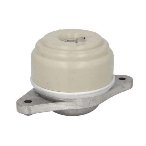 REINHOCH Lagerung, Motor RH11-3098