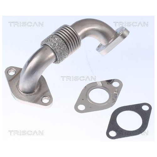TRISCAN Rohrleitung, AGR-Ventil 8811 29102