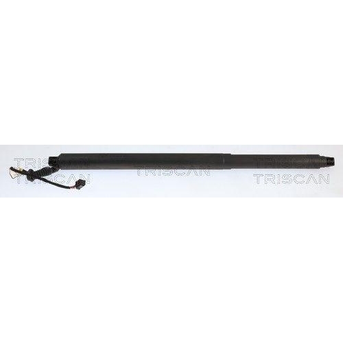 TRISCAN Gasfeder, Koffer-/Laderaum 8710 29350