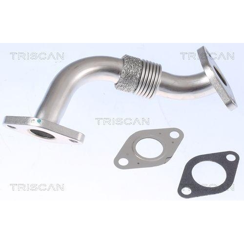 TRISCAN Rohrleitung, AGR-Ventil 8811 29104