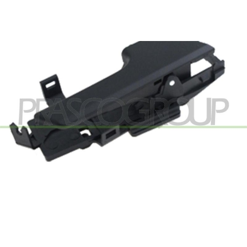 PRASCO T&uuml;rgriff, Innenausstattung DW3278601