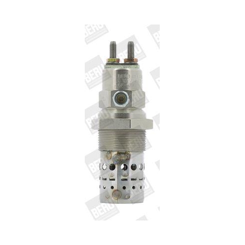 BorgWarner (BERU) Gl&uuml;hkerze