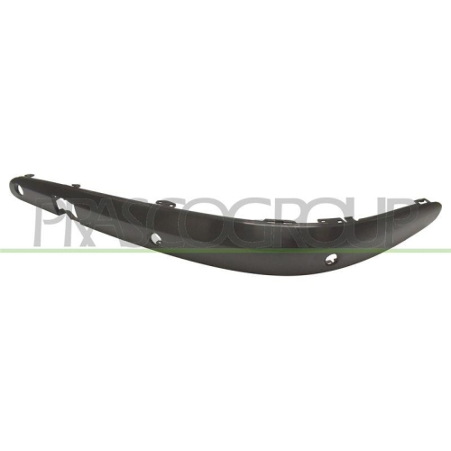 PRASCO Zier-/Schutzleiste, Sto&szlig;f&auml;nger ME0391242