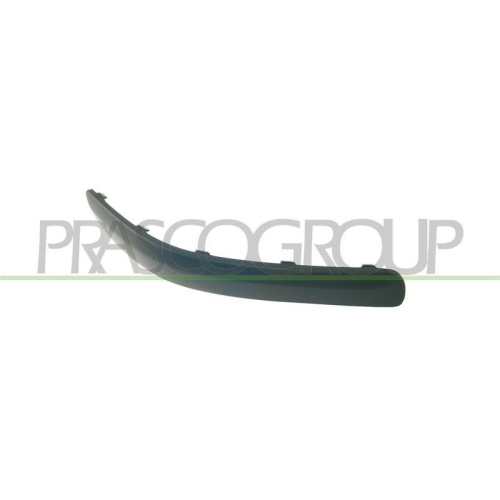PRASCO Zier-/Schutzleiste, Sto&szlig;f&auml;nger PremiumCertified TY3241243