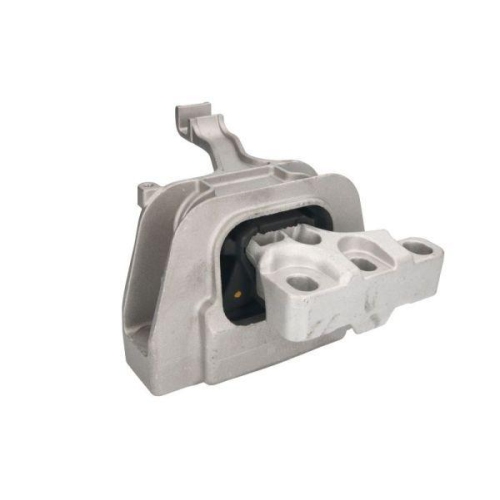 REINHOCH Lagerung, Motor RH11-0088