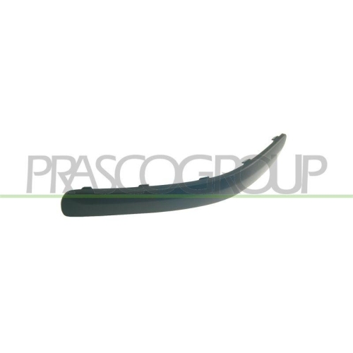 PRASCO Zier-/Schutzleiste, Sto&szlig;f&auml;nger PremiumCertified TY3241244