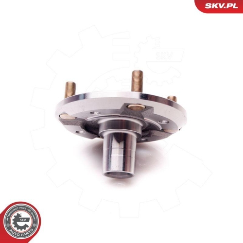 ESEN SKV Radlagersatz 29SKV169