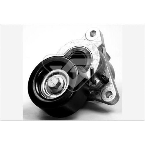 HUTCHINSON Riemenspanner, Keilrippenriemen T0058