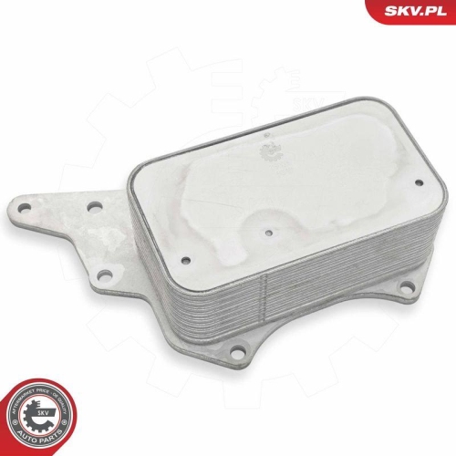 ESEN SKV &Ouml;lk&uuml;hler, Motor&ouml;l 31SKV306