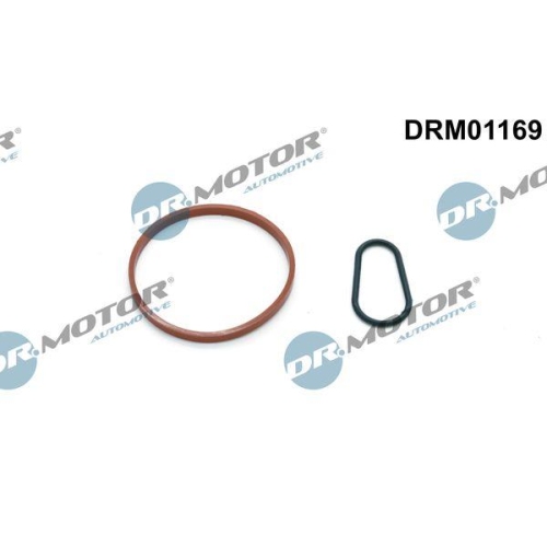Dr.Motor Automotive Dichtungssatz, Unterdruckpumpe DRM01169