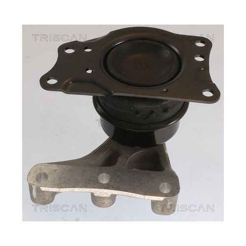 TRISCAN Lagerung, Motor 8505 29176