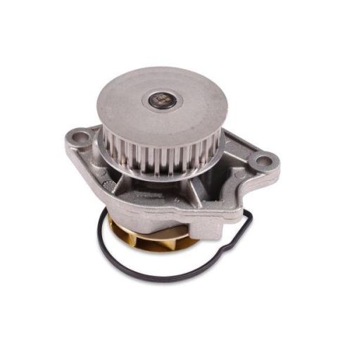 GK Wasserpumpe, Motorkühlung 980137