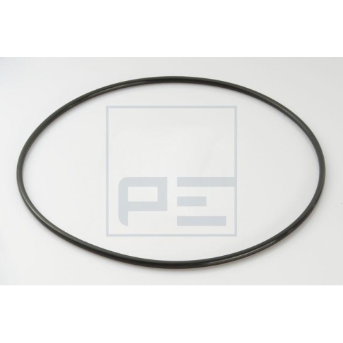 PE Automotive Dichtring, Radnabe (Planetengetriebe) 011.077-00A